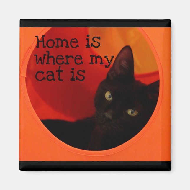 Sleek Black Cat with Gold Eyes Refrigerator Magnet (Front)