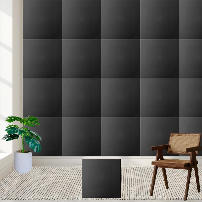 Sleek Black Ceramic Tile | Stylish Custom Home  (Sleek Black Ceramic Tile | Stylish Custom Home)