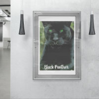 Sleek Black Panther Cat with Green Eyes
