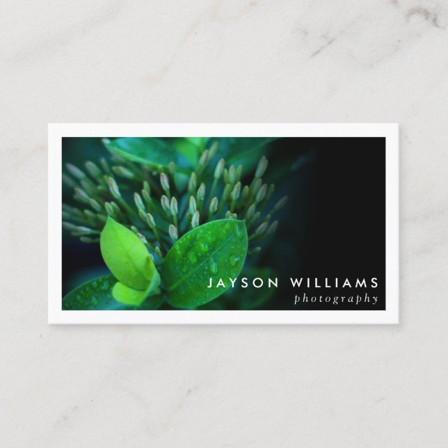 Sleek Bordered Photographer, Photo Business Card (Front)