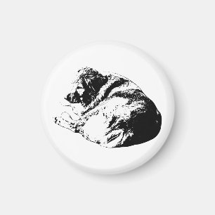 Sleek Dog Lines Offer Calm Festive Home Accent Magnet