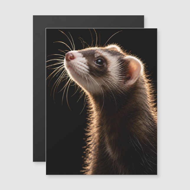 Sleek Mischief (Front/Back)