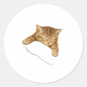 Sleep Cat Graphic, Vintage Cat Lover Tee,cute Cozy Classic Round Sticker
