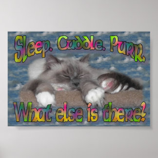 Sleep, cuddle, purr! poster