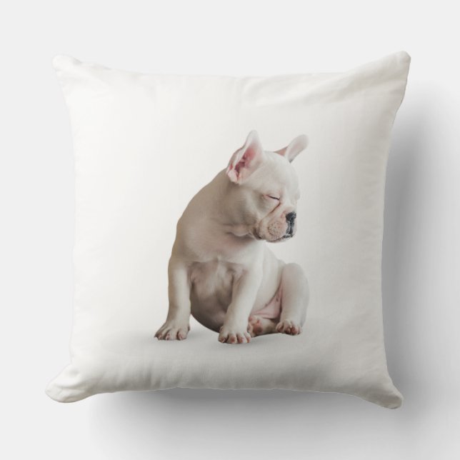 Sleep Dog Cushion (Front)
