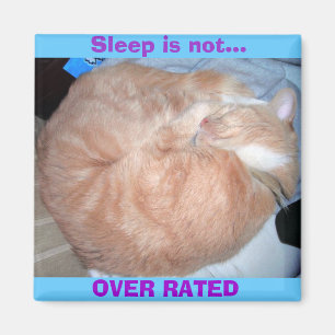 Sleep is not..., OVER RATED Magnet