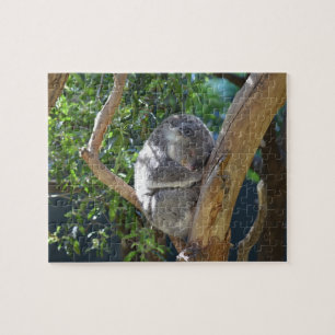 Sleep Koala Jigsaw Puzzle