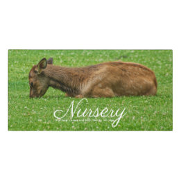 Sleep Little One Door Sign