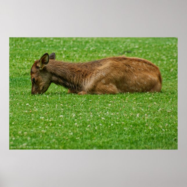 Sleep Little One Poster (Front)