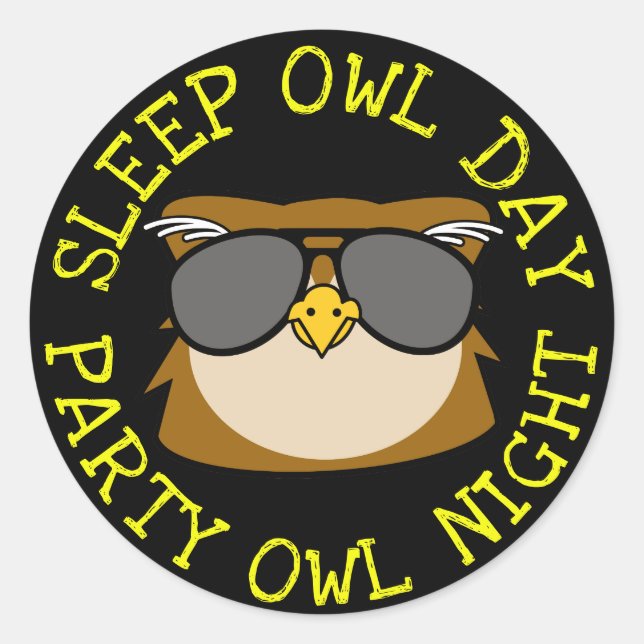 Sleep Owl Day Classic Round Sticker (Front)