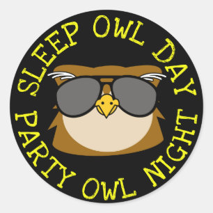 Sleep Owl Day Classic Round Sticker
