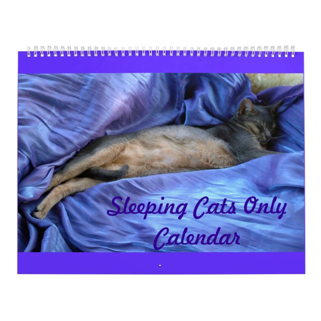 Sleeping Abyssinian Cats Calendar - Extra Large (Cover)
