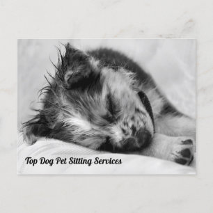 Sleeping Australian Shepherd Puppy Pet Sitter's Postcard