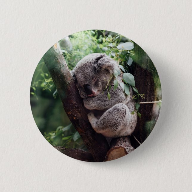 Sleeping Baby Koala 6 Cm Round Badge (Front)