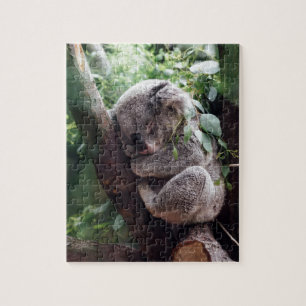 Sleeping Baby Koala Jigsaw Puzzle