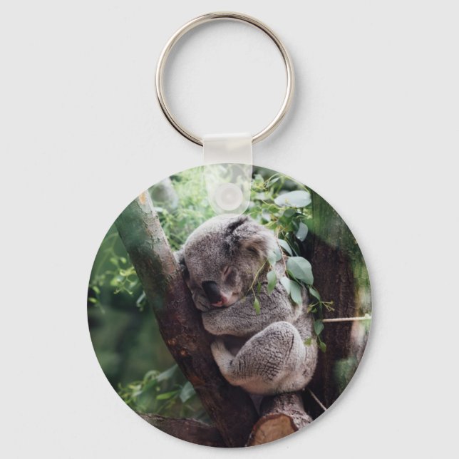 Sleeping Baby Koala Key Ring (Front)