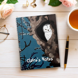 Sleeping Barn Owl Original Art Notebook