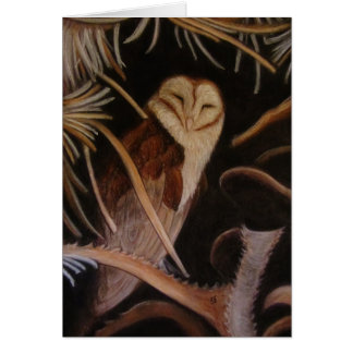 sleeping barn owl pastel animal painting