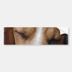 Sleeping Beagle Bumper Sticker