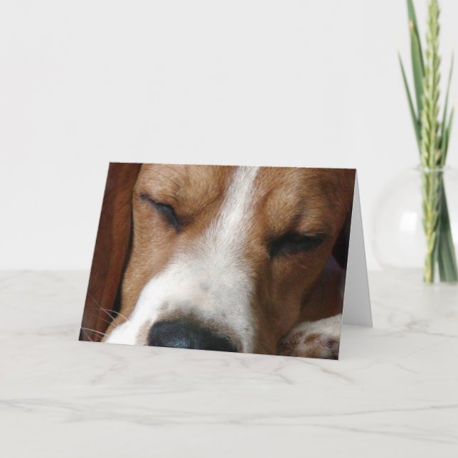 Sleeping Beagle Greeting Card (Front)