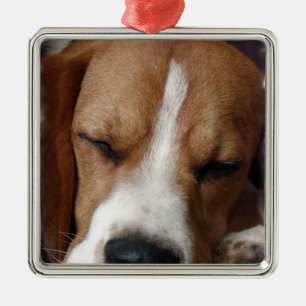 Sleeping Beagle Ornament
