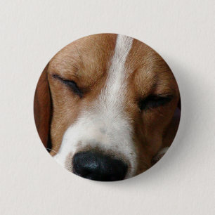 Sleeping Beagle Round Button
