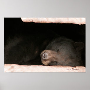 Sleeping Bear 2 Poster