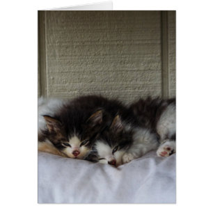 Sleeping Beauties