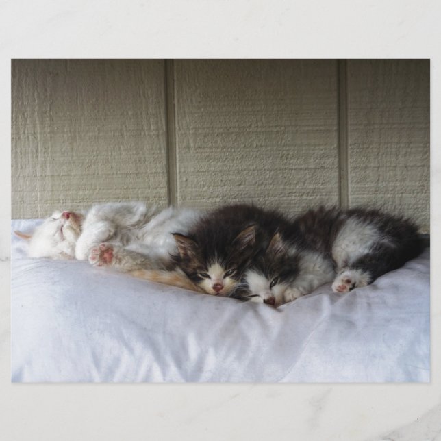 Sleeping Beauties (Front)