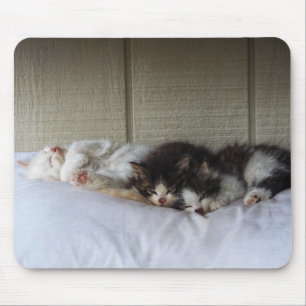 Sleeping Beauties Mouse Pad