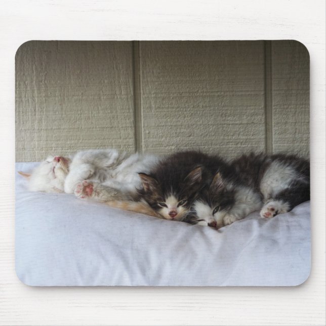 Sleeping Beauties Mouse Pad (Front)