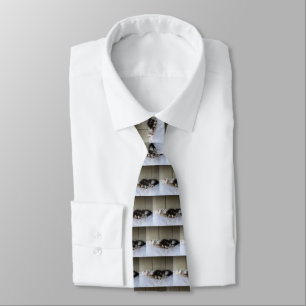 Sleeping Beauties Tie