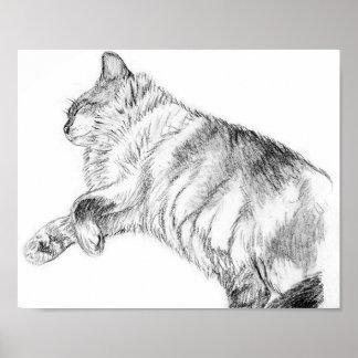 Sleeping beauty poster