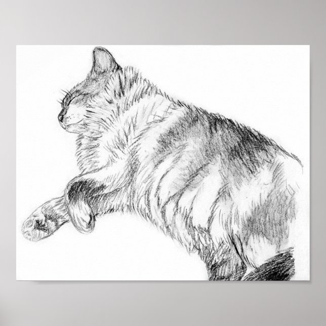 Sleeping beauty poster (Front)