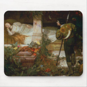 Sleeping Beauty (Prince Charming and His Princess) Mouse Pad