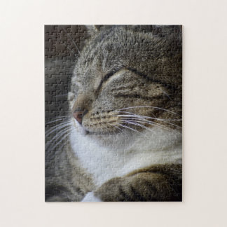 Sleeping Beauty - Tabby Cat Jigsaw Puzzle