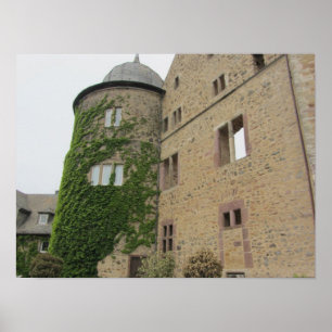 Sleeping Beauty's Castle Poster