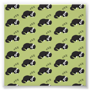 Sleeping Bernese Mountain Dog Animals Lover ZZZ Photo Print
