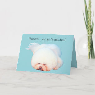 Sleeping Bichon Frise Illustrated Greeting Card
