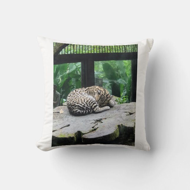 Sleeping Big Cat Pillow (Front)