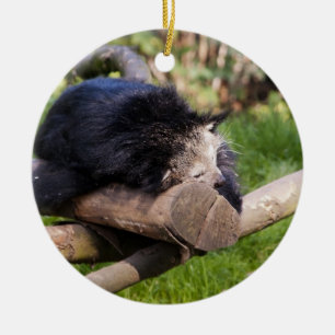 Sleeping Binturong Ceramic Tree Decoration
