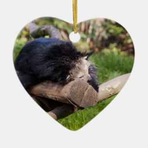 Sleeping Binturong Ceramic Tree Decoration