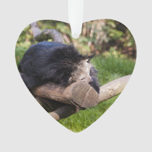 Sleeping Binturong Ornament