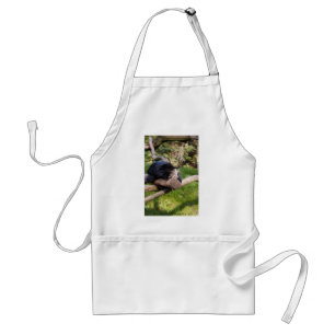 Sleeping Binturong Standard Apron