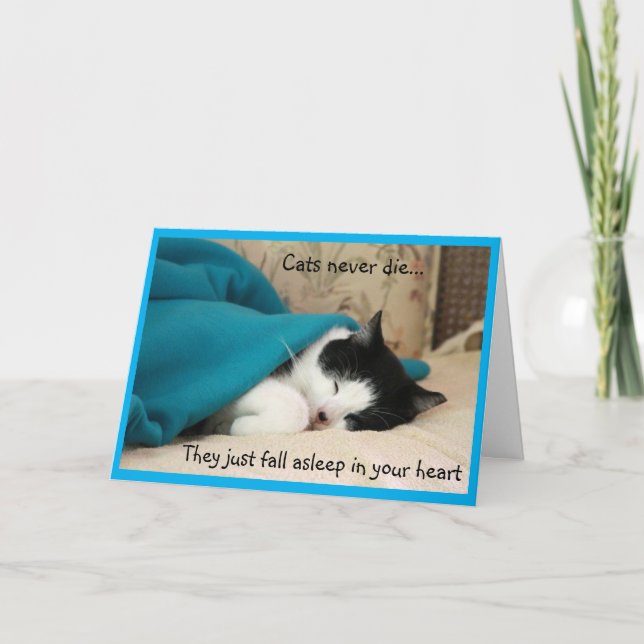 Sleeping Black and White Cat Sympathy  Card (Front)