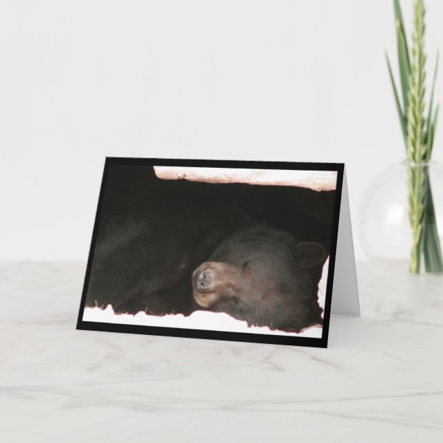 Sleeping Black Bear Card (Front)