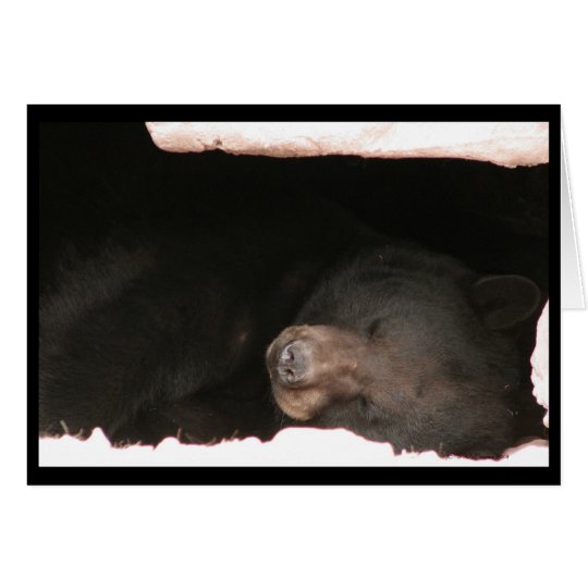 Sleeping Black Bear Card