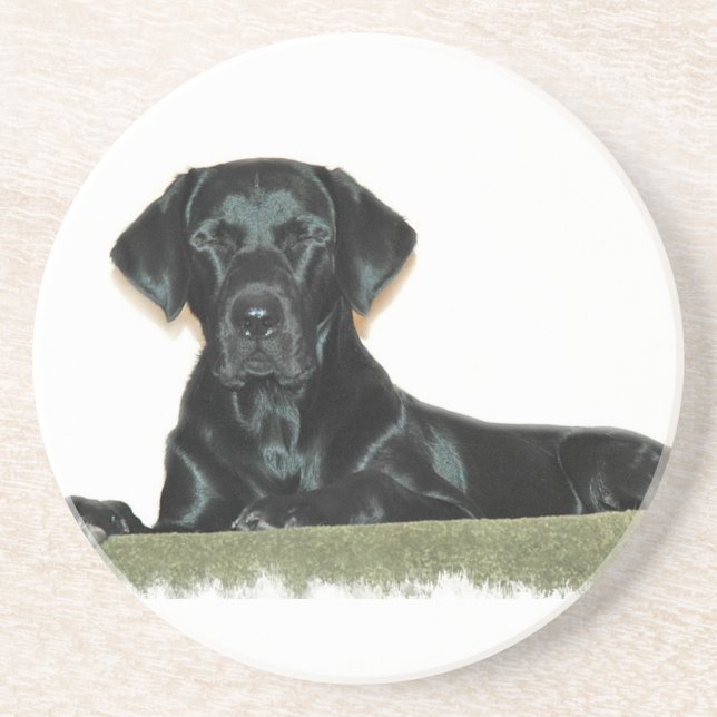 Sleeping Black Labrador Retriever Coasters (Front)