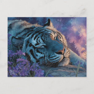 Sleeping Blue Tiger Under Starry Galaxy Sky Postcard