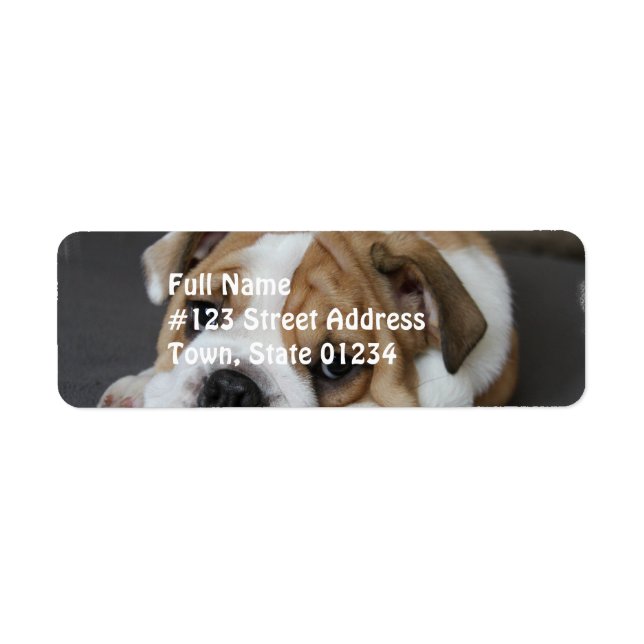 Sleeping Bulldog Address Labels (Front)